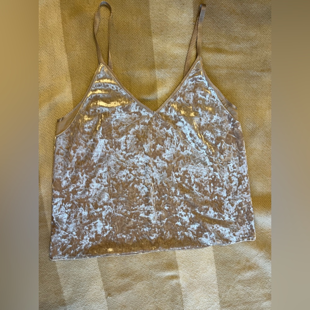 ZARA | velvet top in color champagne